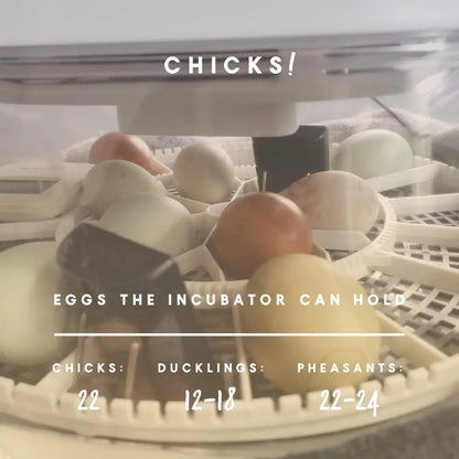 Farms Nurture Right Egg Incubator for Hatching Chicks - Holds 22 Eggs - Automatic Egg Turner